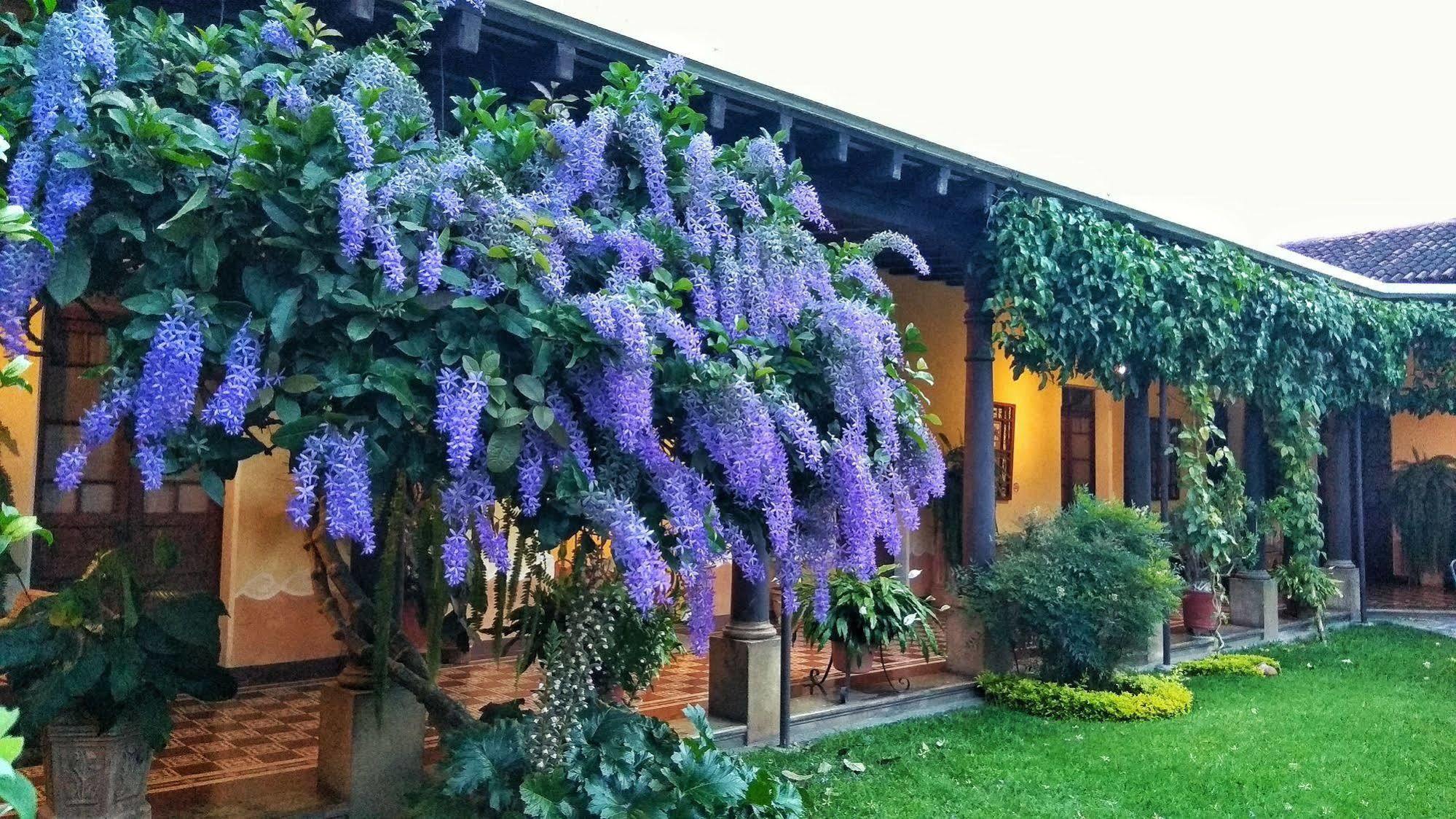 Hotel Aurora Antigua Exterior foto